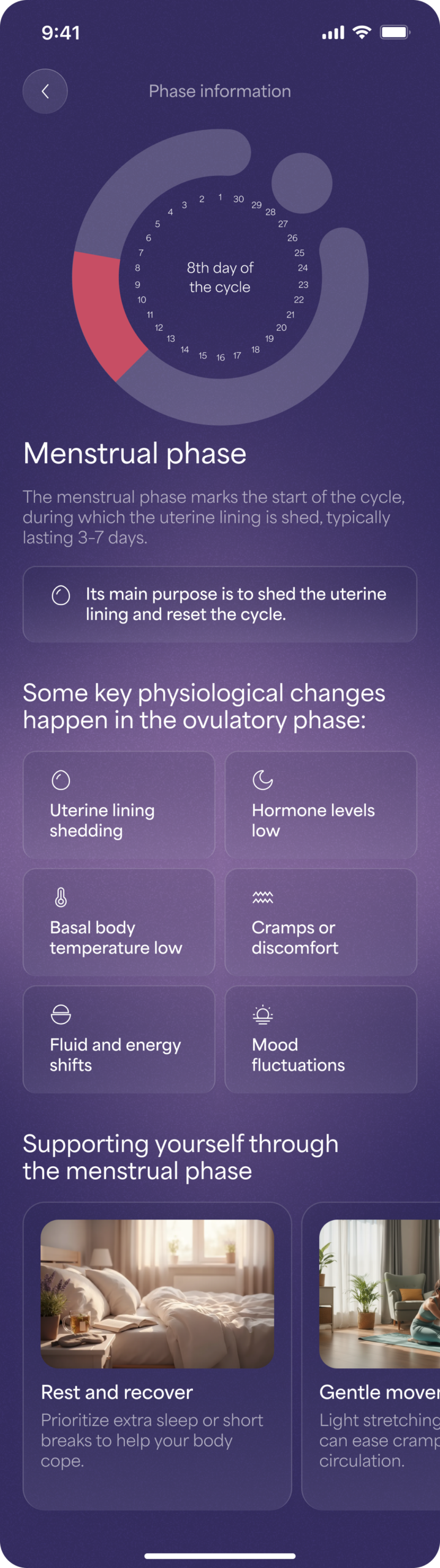 noe-Phase-info-Menstrual-phase-scaled